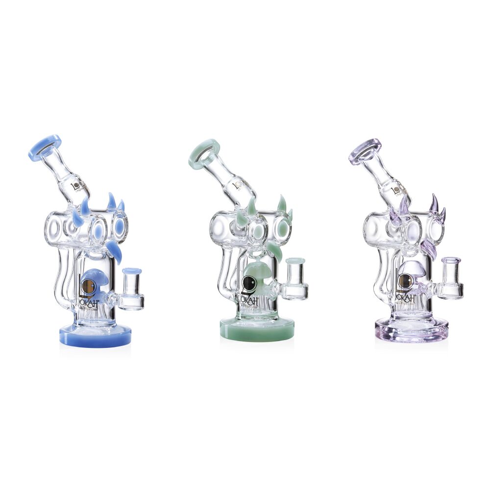 Lookah (Dab Rig) 10” Recycler Percolator Fantasy Bird Water Pipe Group Photo